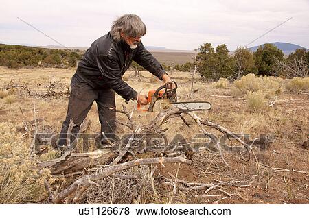 man male cutting tree with chain saw chainsaw View Large Photo Image Stock Photo - man male cutting tree with chain saw chainsaw. Fotosearch