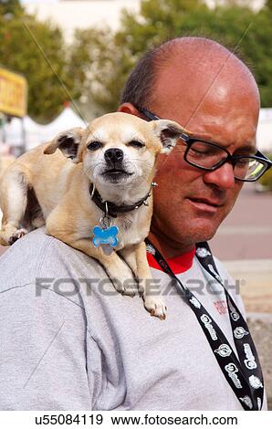 man male with dog on shoulder looking at camera View Large Photo Image Stock Photo - man male with dog on shoulder looking at camera. Fotosearch