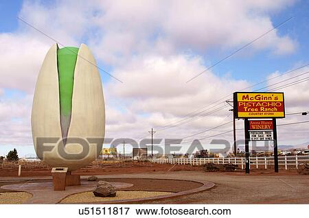 Stock Photo -  mcginns pistachio tree ranch alamogordo new nm. Fotosearch