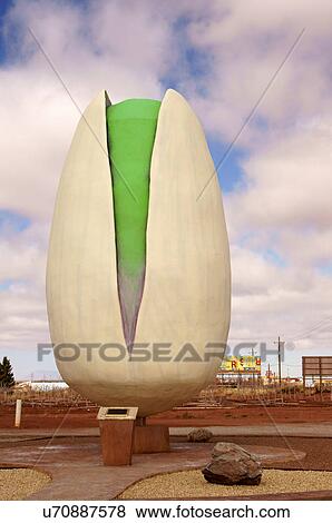 Stock Photo -  mcginns pistachio tree ranch alamogordo new nm. Fotosearch