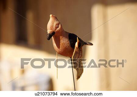 Picture -  mechanical bird el paso texas tx display advise. Fotosearch