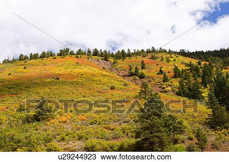 Stock Image -  mountain meadows highway 160 mile marker 280 co. Fotosearch