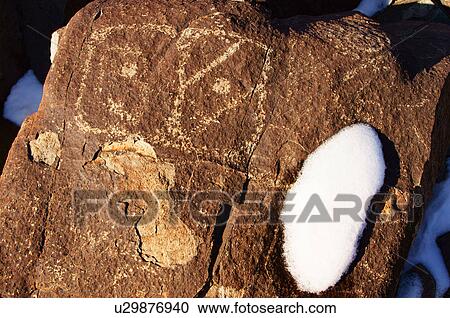 Stock Image -  owl three rivers petroglyph site park new mexico. Fotosearch