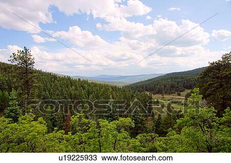 Stock Image -  palo flechado pass hwy 64 taos new mexico nm. Fotosearch