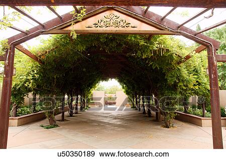 Stock Photo -  plants and trellis at ceremonial garden gardens. Fotosearch