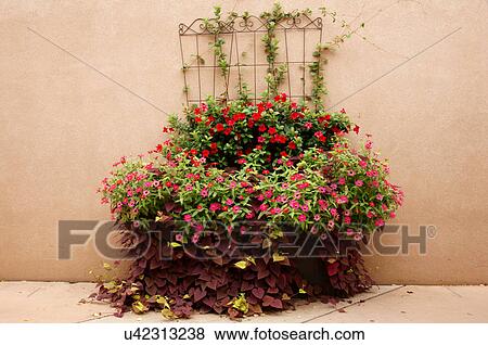 plants at ceremonial garden botanical gardens View Large Photo Image Stock Photo - plants at ceremonial garden botanical gardens. Fotosearch