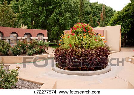 Picture -  plants flowers at jardin rdondo garden botanical. Fotosearch