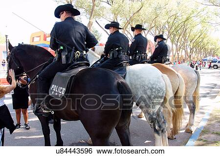 Stock Photograph -  police on horses guards security apaloosa dunn. Fotosearch