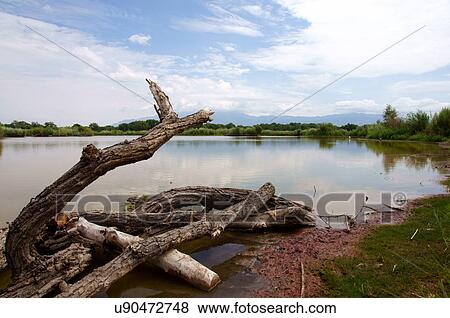 rio grande river grand valley state park alb alq View Large Photo Image Stock Photo - rio grande river grand valley state park alb alq. Fotosearch