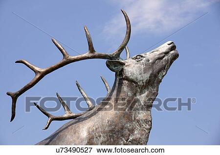 Stock Photo -  route 66 bull elk statue city ok washington main. Fotosearch