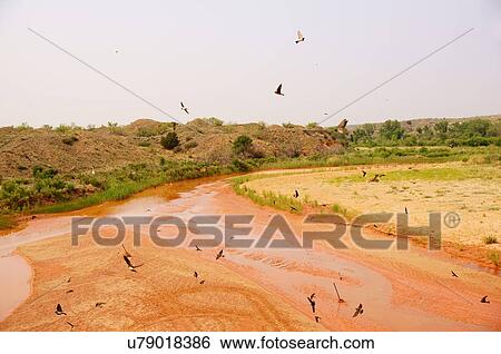 Stock Photograph -  route 66 canadian river texas boys ranch tx road. Fotosearch