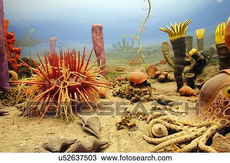 Stock Image -  route 66 exhibit vegetation wildlife evolution. Fotosearch