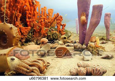 Stock Image -  route 66 exhibit vegetation wildlife evolution. Fotosearch