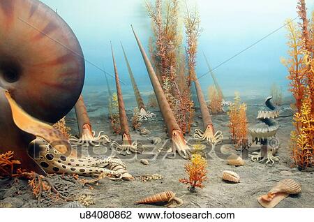 route 66 exhibit vegetation wildlife evolution View Large Photo Image Stock Image - route 66 exhibit vegetation wildlife evolution. Fotosearch