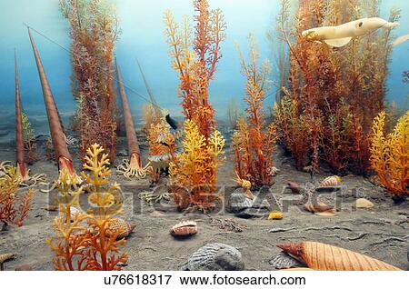 route 66 exhibit vegetation wildlife evolution View Large Photo Image Stock Photo - route 66 exhibit vegetation wildlife evolution. Fotosearch