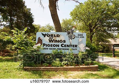 route 66 world wings pigeon center oklahoma city View Large Photo Image Stock Photo - route 66 world wings pigeon center oklahoma city. Fotosearch