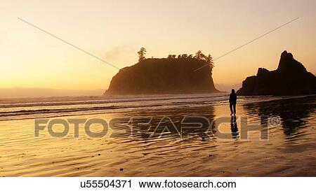 Stock Image -  ruby beach olympic national park hiway 101 one. Fotosearch
