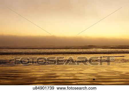 Stock Photo -  ruby beach olympic national park hiway 101 one. Fotosearch