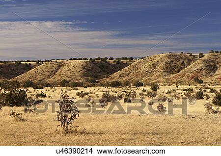 Picture -  scenic guadalupe county colonias de san jose. Fotosearch
