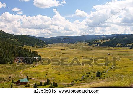Stock Photography -  scenic rio grande national forrest forest taken. Fotosearch