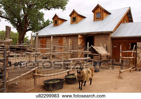 Stock Image -  sheep at heritage farm botanical garden gardens. Fotosearch