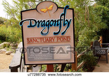 sign for dragonfly sanctuary pond botanical park View Large Photo Image Stock Photography - sign for dragonfly sanctuary pond botanical park. Fotosearch