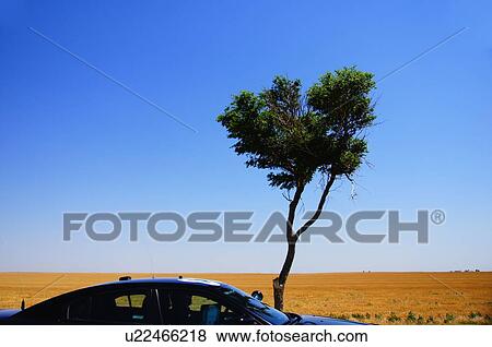 speeding blue car kansas ks sky tree motion blur View Large Photo Image Stock Photo - speeding blue car kansas ks sky tree motion blur. Fotosearch