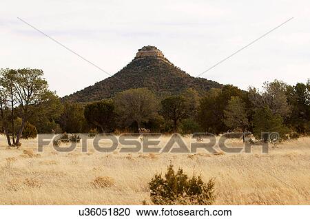 Stock Image -  starvation peak summit ojitos frios new mexico. Fotosearch