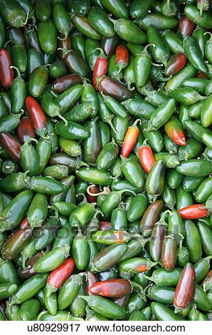 Stock Photo -  still life of jalapenos peppers market outside. Fotosearch
