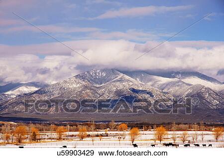 Stock Photo -  view of the taos mountains from city cattle new. Fotosearch