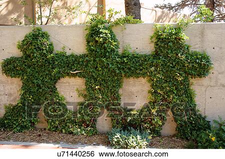 vines shaped like children kids museum santa fe View Large Photo Image Stock Photograph - vines shaped like children kids museum santa fe. Fotosearch