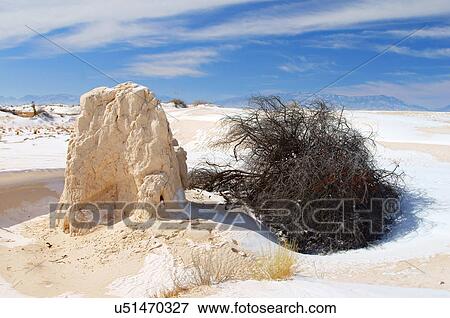 white sands national monument alamogordo new nm View Large Photo Image Stock Photo - white sands national monument alamogordo new nm. Fotosearch