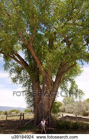 woman female sitting on bemch of large oak elm View Large Photo Image Picture - woman female sitting on bemch of large oak elm. Fotosearch