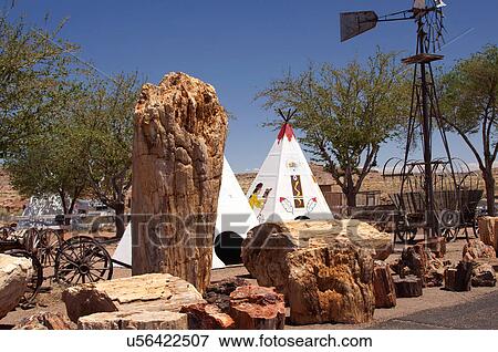 worlds largest petrified tree holbrook arizona View Large Photo Image Stock Photo - worlds largest petrified tree holbrook arizona. Fotosearch