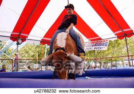 Stock Image -  young boy riding a mechanical bull rider male. Fotosearch