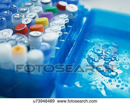 A variety of DNA and chemical samples that have been taken out of cold storage ready for testing View Large Photo Image Stock Photo - A variety of DNA and chemical samples that have been taken out of cold storage ready for testing. Fotosearch