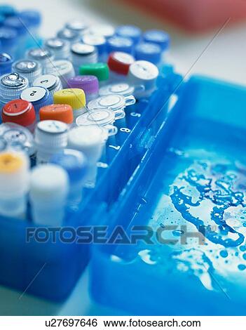 A variety of DNA and chemical samples that have been taken out of cold storage ready for testing View Large Photo Image Stock Photograph - A variety of DNA and chemical samples that have been taken out of cold storage ready for testing. Fotosearch