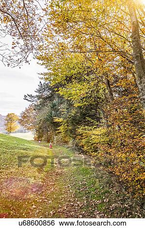 Stock Photograph - Autumn landscape with dirt track. Fotosearch