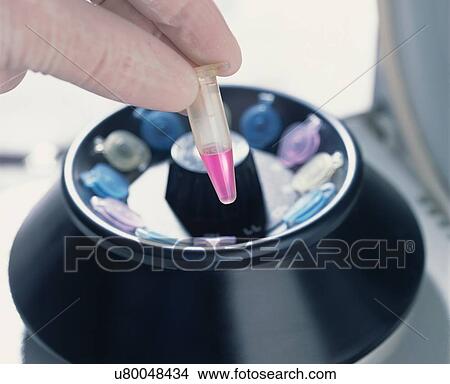 Centrifuge being used to separate samples into their components by spinning them in tubes at high speed View Large Photo Image Picture - Centrifuge being used to separate samples into their components by spinning them in tubes at high speed. Fotosearch