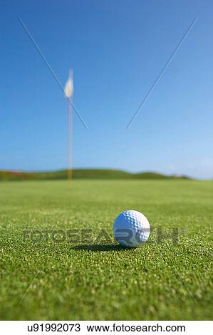Close up of golf ball and golf flag on golf green View Large Photo Image Stock Image - Close up of golf ball and golf flag on golf green. Fotosearch