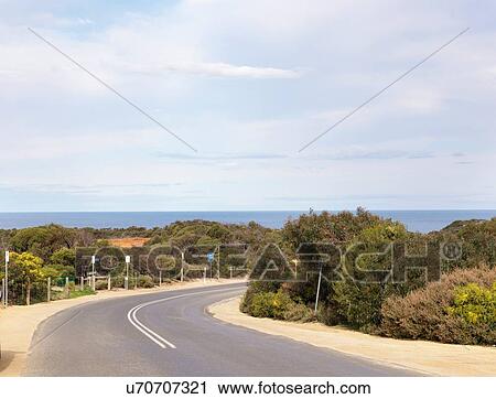 Empty coastal road, Point Addis National Park, Anglesea, Australia View Large Photo Image Stock Image - Empty coastal road, Point Addis National Park, Anglesea, Australia. Fotosearch