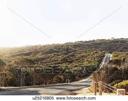 Empty rural road, Point Addis National Park, Anglesea, Australia View Large Photo Image Stock Photography - Empty rural road, Point Addis National Park, Anglesea, Australia. Fotosearch