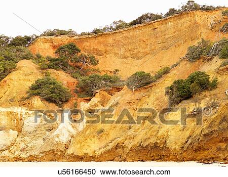 Eroded cliff and beach, Point Addis National Park, Anglesea, Australia View Large Photo Image Stock Image - Eroded cliff and beach, Point Addis National Park, Anglesea, Australia. Fotosearch