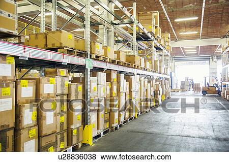 Forklift trucks working in distribution warehouse aisle View Large Photo Image Stock Photo - Forklift trucks working in distribution warehouse aisle. Fotosearch