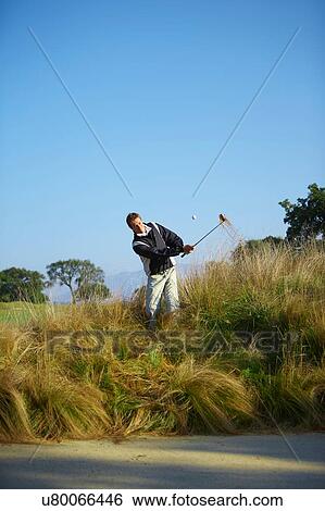 Stock Photograph - Golfer taking golf swing in tall grass, golf ball in mid air. Fotosearch