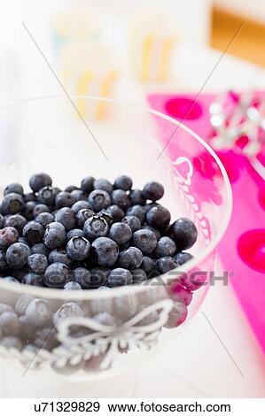 High angle view of glassed bowl of blueberries View Large Photo Image Stock Photo - High angle view of glassed bowl of blueberries. Fotosearch