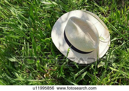 High angle view of panama hat on grass View Large Photo Image Stock Photograph - High angle view of panama hat on grass. Fotosearch