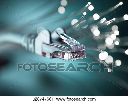 Internet network connector with fibre optics, close-up View Large Photo Image Stock Image - Internet network connector with fibre optics, close-up. Fotosearch