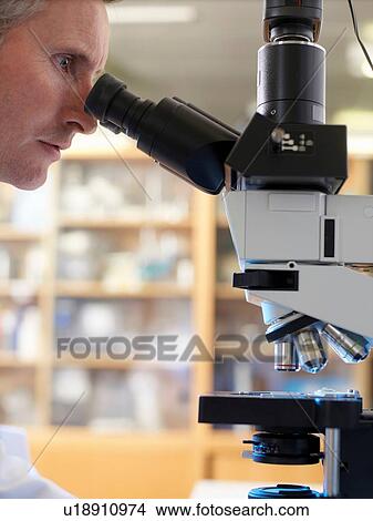 Picture - Laboratory scientist viewing slide with upright compound microscope. Fotosearch