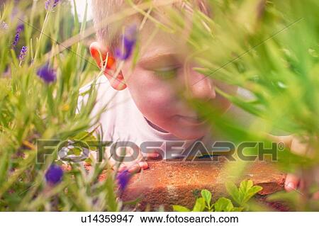 Stock Photo - Low angle portrait of boy lifting brick in grass. Fotosearch